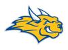 Webster University