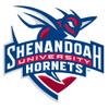 Hornets