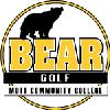 Mott Bears